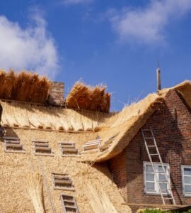 verzekering voor rieten daken