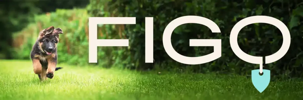 5 Redenen Waarom Figopet De Beste Huisdierenverzekering Is! 4 Figopet huisdierenverzekering.