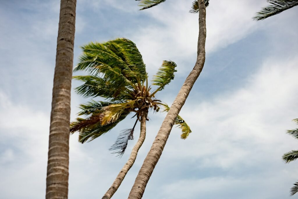De Voordelen Van Een Annuleringsverzekering En Wanneer Je Deze Moet Afsluiten 2 Annuleringsverzekering, Annuleringsverzekering zomervakantie, Annuleringsverzekering overlijden