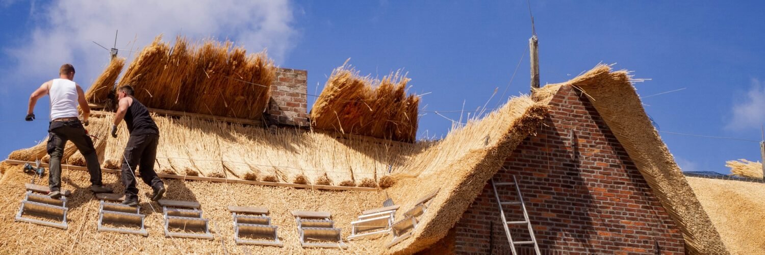 rieten dak verzekering , rieten dak verzekeren