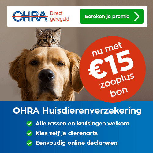Wat Je Moet Weten Over De Ohra Dierenverzekering: Een Complete Gids Met Tips En Ervaringen 4 OHRA dierenverzekering