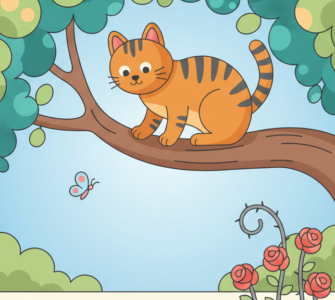 kattenverzekering, katten verzekering