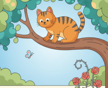 kattenverzekering, katten verzekering