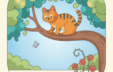 kattenverzekering, katten verzekering