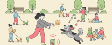 huisdierenverzekering, hondenverzekering, kattenverzekering, huisdierenverzekering kosten, huisdierenverzekering vergelijken, dierenverzekering